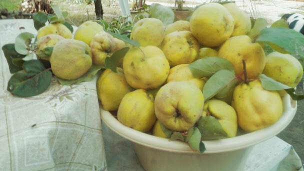 Dulový džem s vanilkou a anízom (fotorecept) - obrázok 1