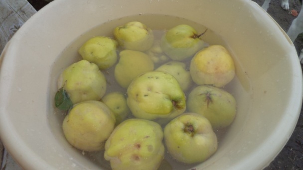 Dulový džem s vanilkou a anízom (fotorecept) - obrázok 2