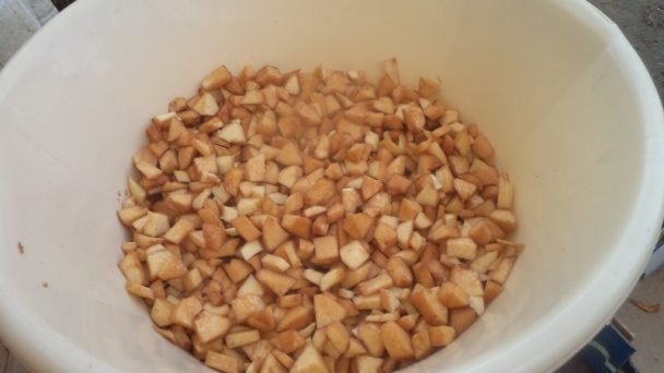 Dulový džem s vanilkou a anízom (fotorecept) - obrázok 5