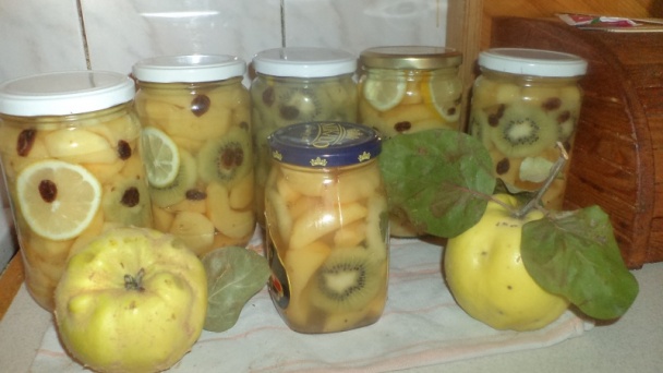 Dulovo-kiwi kompót s vínom a klinčekmi (fotorecept) - obrázok 9