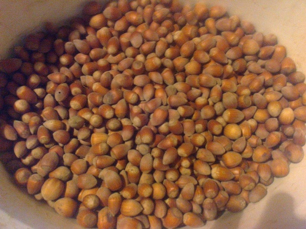 Oblátková roláda (fotorecept) - obrázok 1