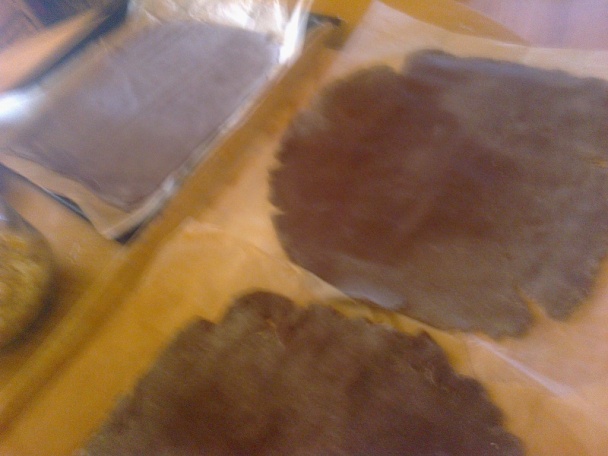 Kivi rezy (fotorecept) - obrázok 3