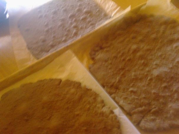 Kivi rezy (fotorecept) - obrázok 4