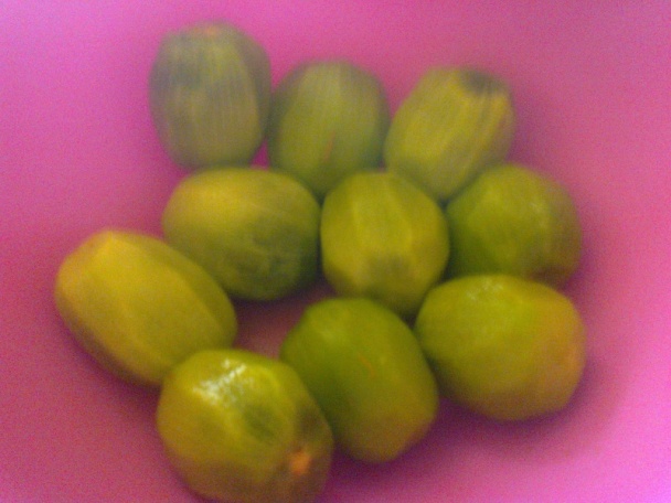 Kivi rezy (fotorecept) - obrázok 5