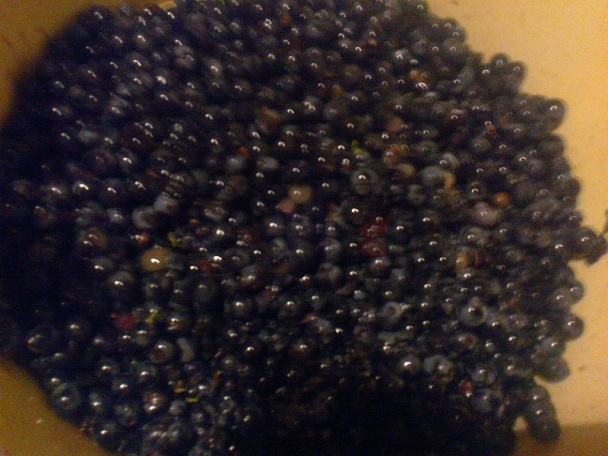 Hroznovo-dulový lekvár so škoricou a rumom /fotorecept/ - obrázok 2