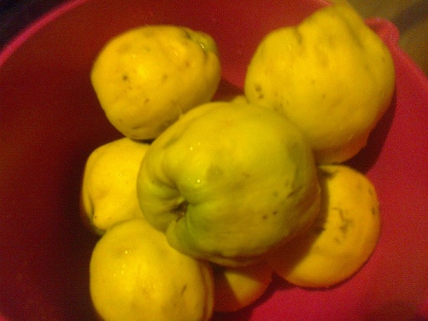 Hroznovo-dulový lekvár so škoricou a rumom /fotorecept/ - obrázok 3