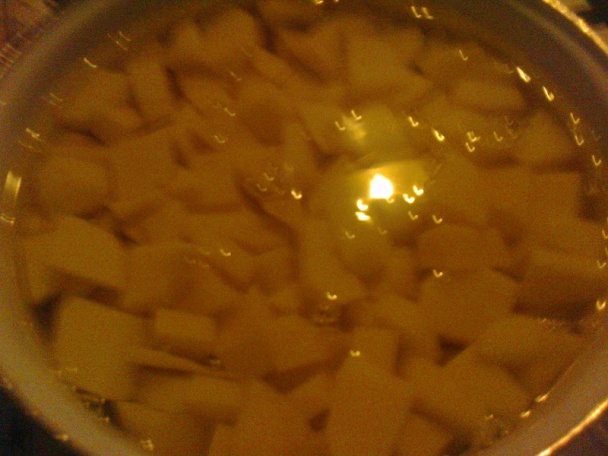 Gánica (fotorecept) - obrázok 1