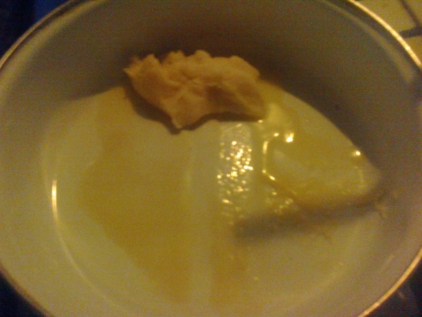 Gánica (fotorecept) - obrázok 2