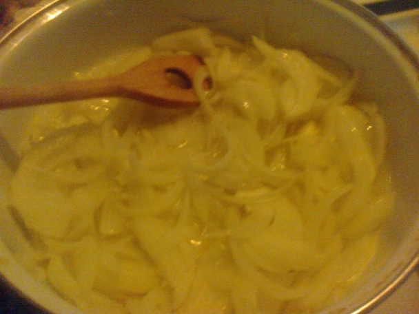 Gánica (fotorecept) - obrázok 3