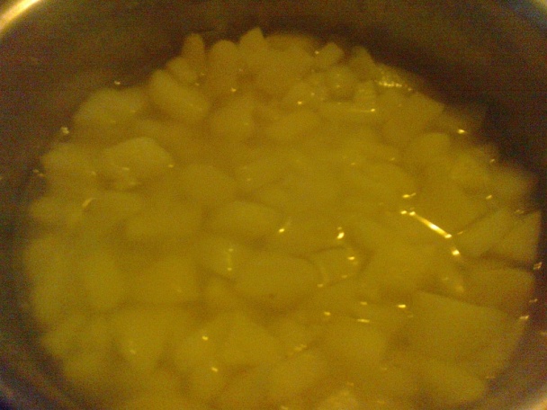 Gánica (fotorecept) - obrázok 5