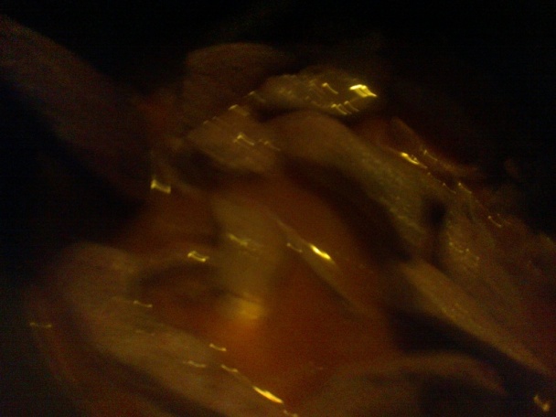 Domáca bravčová pečeň pána premiéra (fotorecept) - obrázok 4