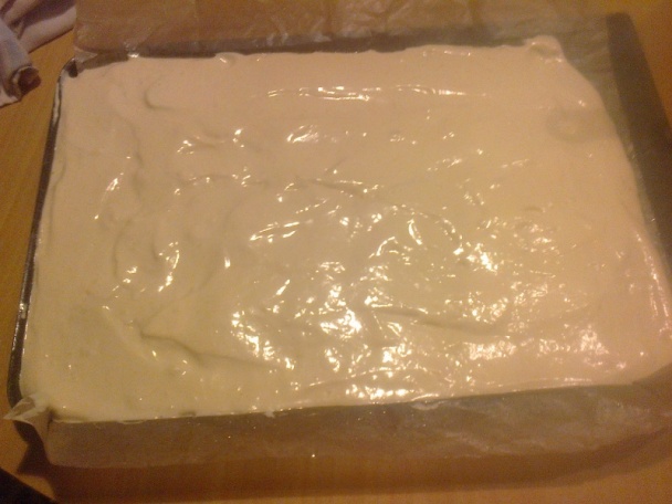 Punčový tunel (fotorecept) - obrázok 4