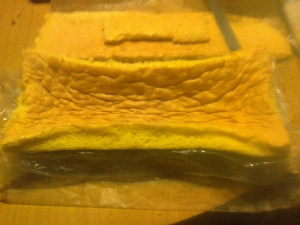 Punčový tunel (fotorecept) - obrázok 5