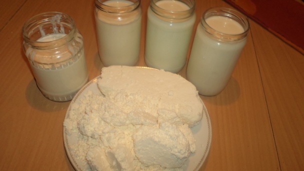 Tvarohovo-pudingovo-piškótový rez (fotorecept) - obrázok 1