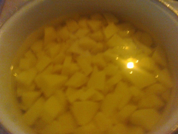 Bukta (fotorecept) - obrázok 1