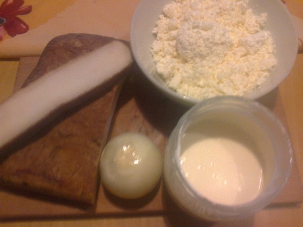 Bukta (fotorecept) - obrázok 2