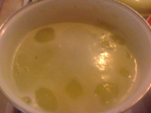 Bukta (fotorecept) - obrázok 7