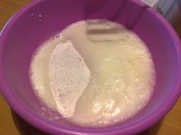 Santa Barbara (fotorecept) - obrázok 1