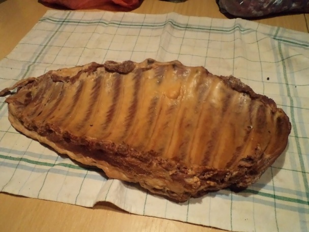 Zabíjačkový plnený kapustný list (fotorecept) - obrázok 15