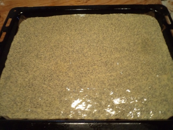 Kakaovo-makové rezy (fotorecept) - obrázok 9