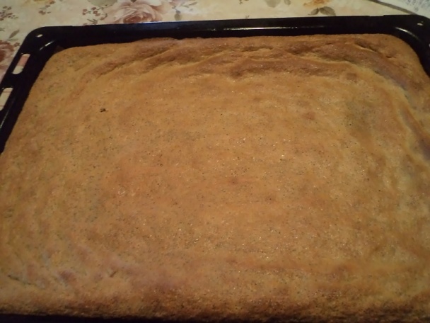 Kakaovo-makové rezy (fotorecept) - obrázok 10