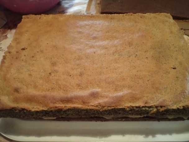 Kakaovo-makové rezy (fotorecept) - obrázok 12