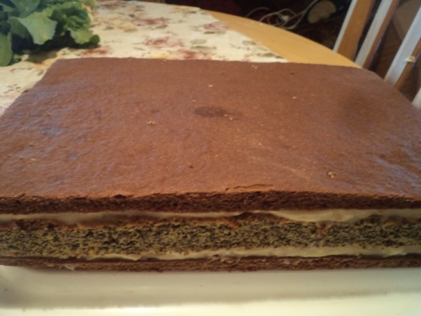 Kakaovo-makové rezy (fotorecept) - obrázok 13