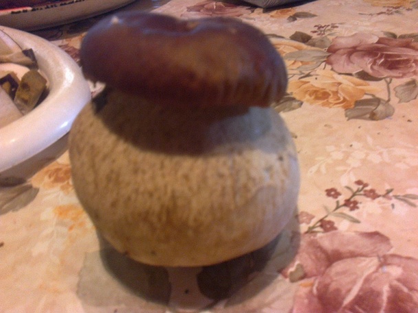 Čerstvé dubáčiky na cibuľke s ryžou (fotorecept) - obrázok 2