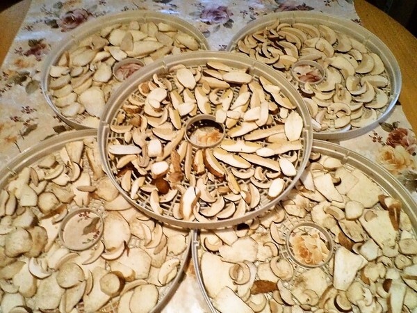 Čerstvé dubáčiky na cibuľke s ryžou (fotorecept) - obrázok 5