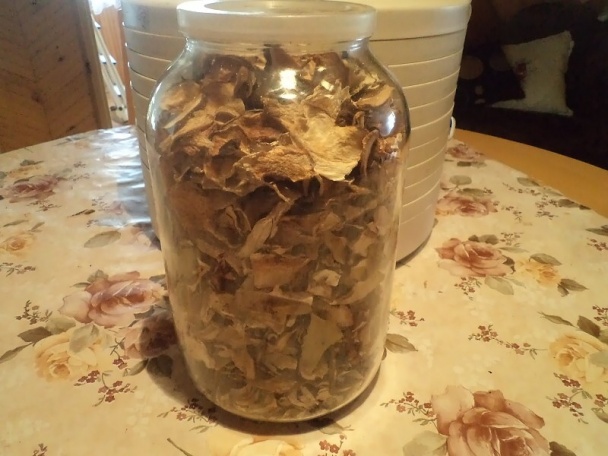 Čerstvé dubáčiky na cibuľke s ryžou (fotorecept) - obrázok 6