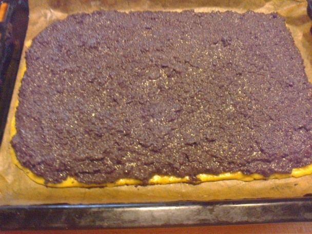 Kukuč spod snehu (fotorecept) - obrázok 8