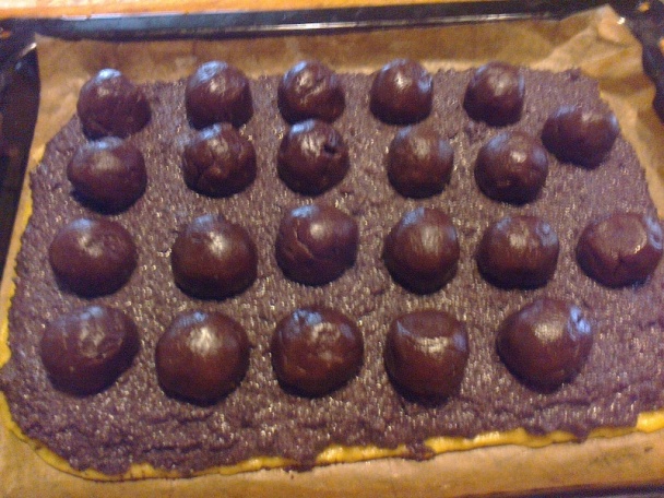 Kukuč spod snehu (fotorecept) - obrázok 9