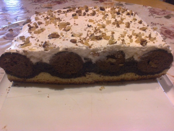 Kukuč spod snehu (fotorecept) - obrázok 11