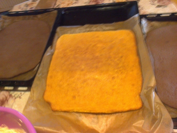 Astória rezy (fotorecept) - obrázok 5