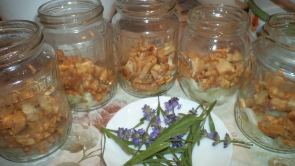 Zavárané kuriatka s cibuľou a levanduľou (fotorecept) - obrázok 8