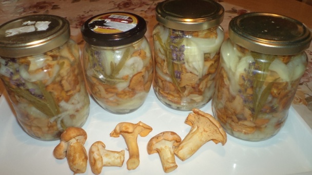 Zavárané kuriatka s cibuľou a levanduľou (fotorecept) - obrázok 10