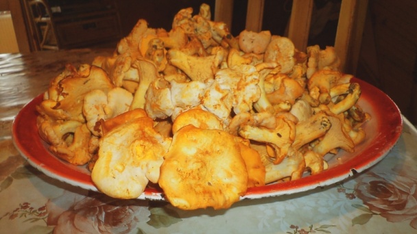 Ananásovo-šunkové bravčové medailónky (fotorecept) - obrázok 14