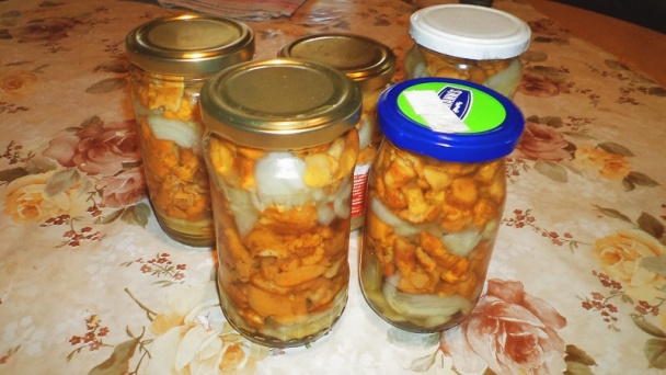 Kuriatka na smotane s nokedlami (fotorecept) - obrázok 2