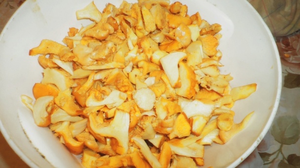 Kuriatka na smotane s nokedlami (fotorecept) - obrázok 3