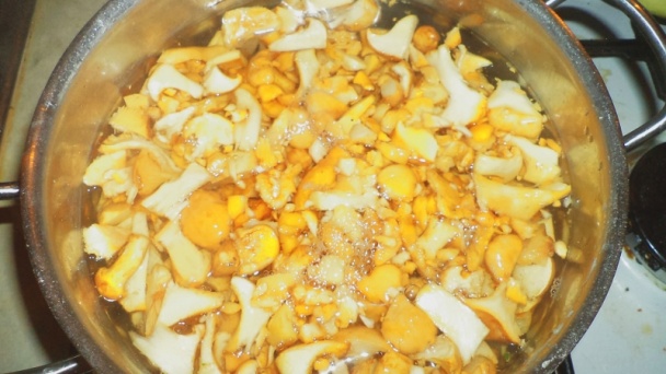 Kuriatka na smotane s nokedlami (fotorecept) - obrázok 4