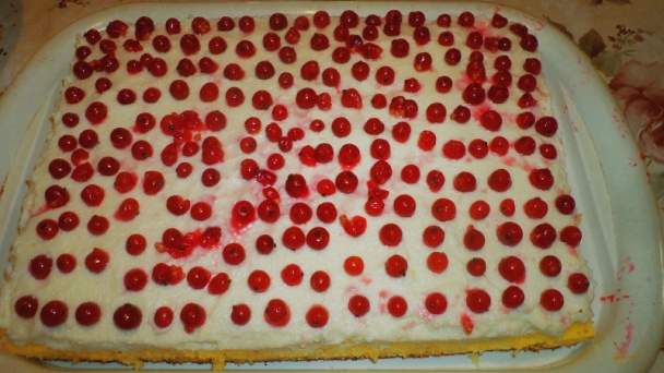 Ríbezľovo-tvarohový zákusok so šľahačkou (fotorecept) - obrázok 10