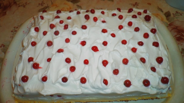 Ríbezľovo-tvarohový zákusok so šľahačkou (fotorecept) - obrázok 12