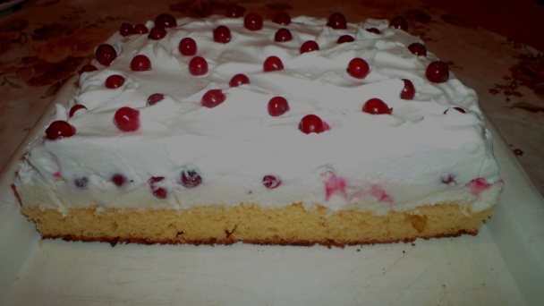 Ríbezľovo-tvarohový zákusok so šľahačkou (fotorecept) - obrázok 13