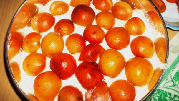 Marhuľovo-tvarohová nepečená torta (fotorecept) - obrázok 2