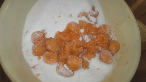 Marhuľový džem s barackovicou (fotorecept) - obrázok 2