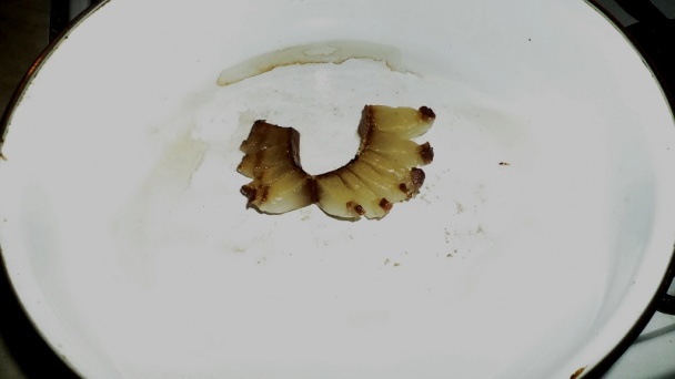 Pleskáč na domácej údenej slaninke (fotorecept) - obrázok 3