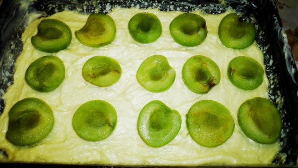 Ringlotové kocky so šľahačkou (fotorecept) - obrázok 5