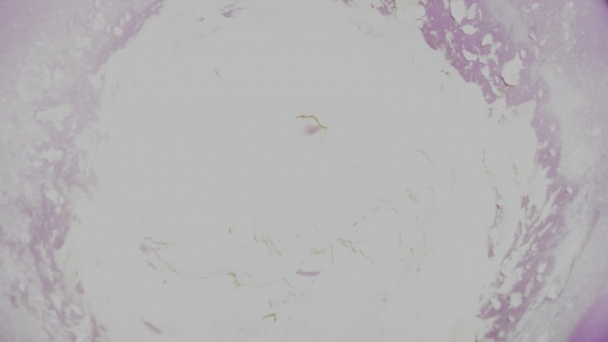 Výborné kávovo-karamelové kocky (fotorecept) - obrázok 8