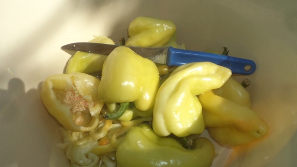 Papriková čalamáda sterilizovaná (fotorecept) - obrázok 1