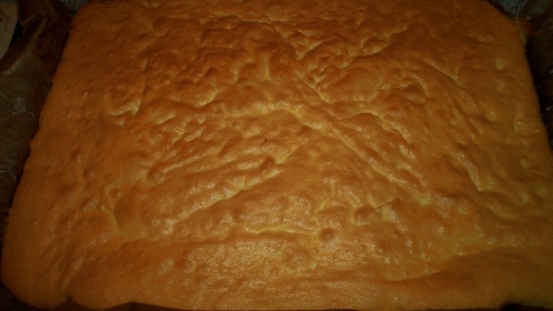 Viedenské rezy (fotorecept) - obrázok 5